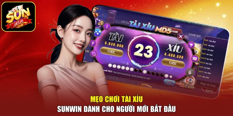 Mẹo chơi tài xỉu sunwin dành cho người mới bắt đầu